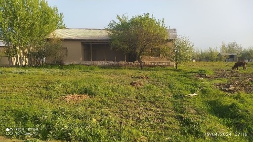 Самаркандская область, Пайарык