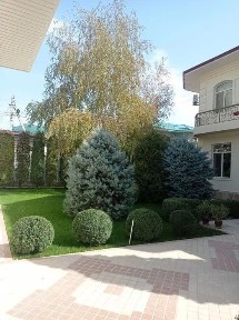 Ташкентская область, Ташкент, Мирзо-Улугбекский район