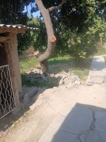 Ховли нарпай центрда навоида 10.3 sutik
