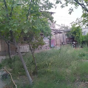 Dacha sotiladi, 2 qavatli,1 qavat 3 xona, 2 qavat 2 xona, sarayi bor
