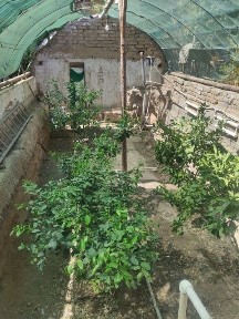 Дом со всеми удобствами и условиями для жизни!