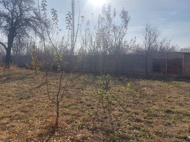 15 (+ яна захвати хам бор) сотих ховли участка сотилади.