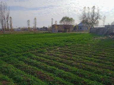 Сурхандарьинская область, Кумкурган