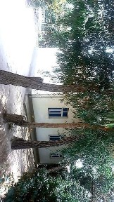 Сурхандарьинская область, Термез