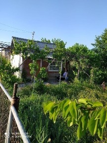Бухарская область, Жондор