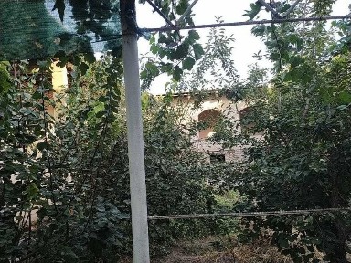 Hovli sotiladi.