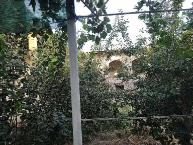 Hovli sotiladi.