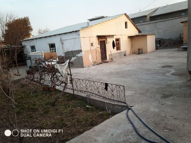 Бухарская область, Бухара