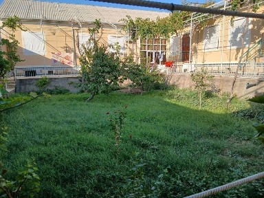 Шейхондан 6 сотихли участка
