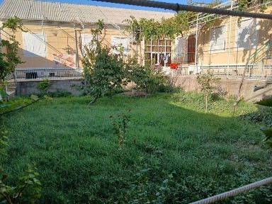 Шейхондан 6 сотихли участка