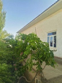Бухарская область, Жондор