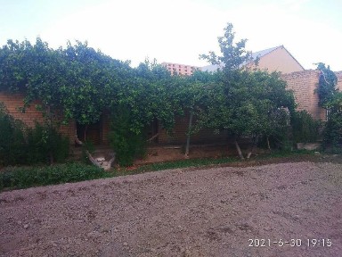 Uchastka.Tez sotiladi.imkoniyatdan foydalaning