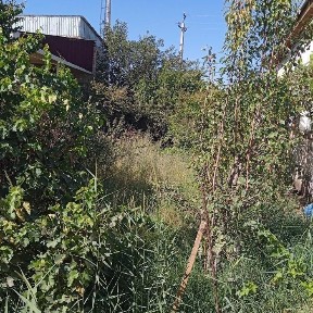 Бухарская область, Бухара
