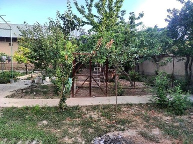 Андижанская область, Кургантепа