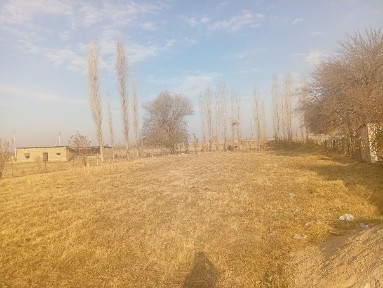 Uchaska sotiladi