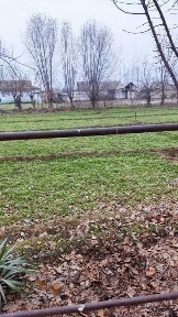 Сырдарьинская область, Cырдарья