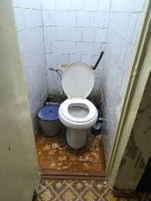 Продается дом на земле