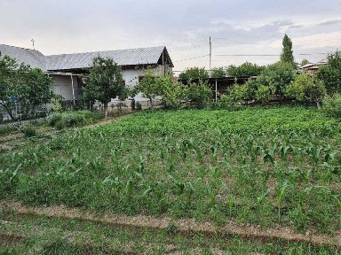 Уй сотилады. Продается дом