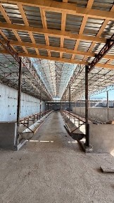 Ташкентская область, Ташкент, Шайхантахурский район