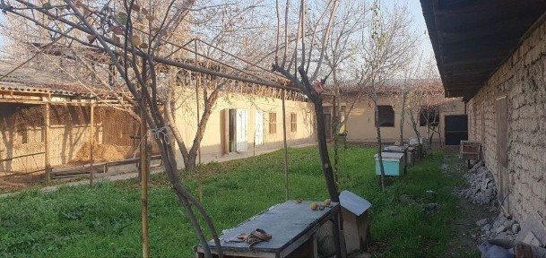 Участок Uchaska uy sotxi 7mimdam