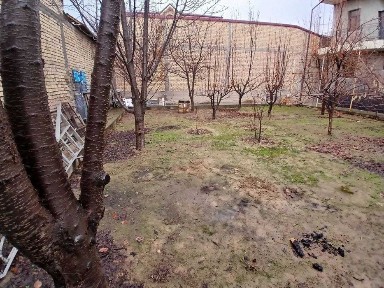Ташкентская область, Кибрай