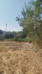 Uchastka sotiladi.