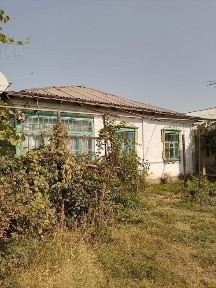 Ташкентская область, Нурафшан (Тойтепа)