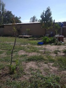 Ташкентская область, Ташкент, Яшнабадский район