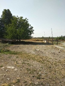 Хусусий ферма сотилади