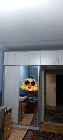 Навоийская область, Зарафшан