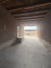 Tayor hovli sotiladi 6 sotixli