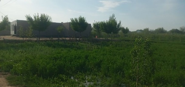 Uy sotiladi narxi kelishiladi !
