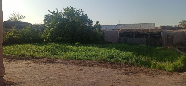 Хорезмская область, Хазарасп