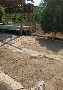 Урганч тумани шоват канал буйида жой сотилади 533кв.