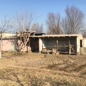 Dacha sotiladiii