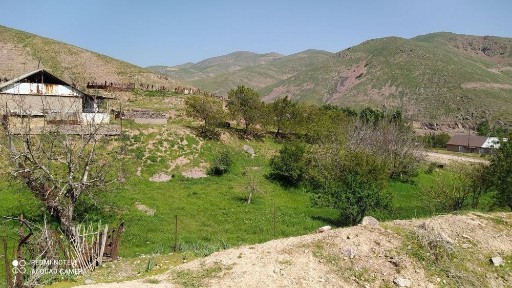 Togli hudud dala hovli