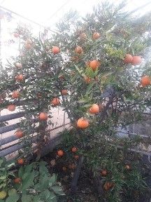 Ташкентская область, Ташкент, Юнусабадский район