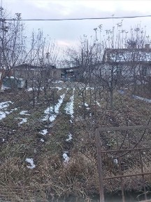 Ташкентская область, Янгиюль