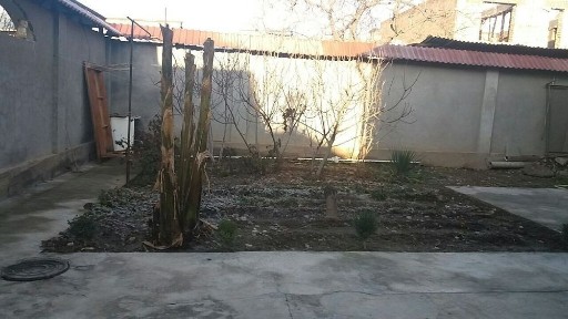 Дом, М. Улугбекский р-н, IT-Park