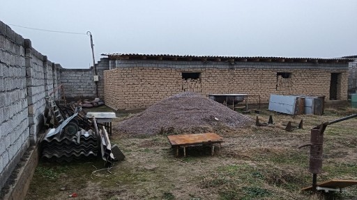 Ташкентская область, Янгибазар
