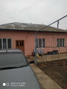 Ташкентская область, Янгиюль