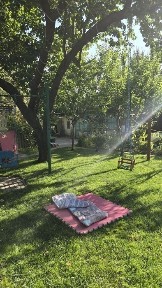 Участок 10.3 сотки на Шахристанской, выход к Бозсув