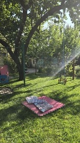 Участок 10.3 сотки на Шахристанской, выход к Бозсув