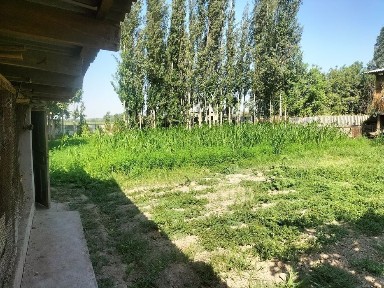 Уй сотилади 13 соток