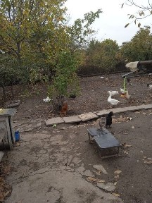 Ташкентская область, Ангрен