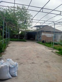 Ташкентская область, Паркент