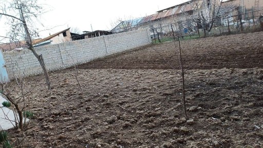 Ташкентская область, Келес