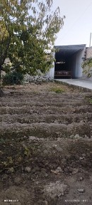 5 sotixli uchastka sotiladi