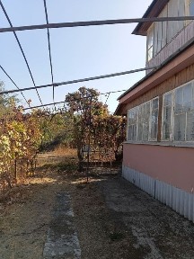 Ташкентская область, Паркент