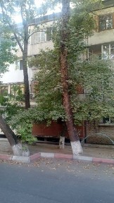Новомосков Квартира под офис первый этаж 250 тысяч ye возможно аренда